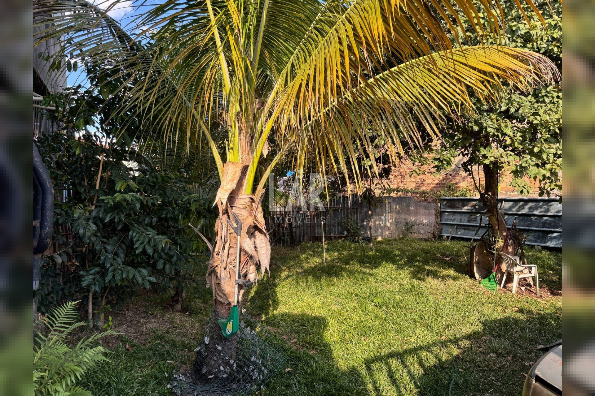 Casa de 4 quartos à venda, Padre Eustáquio, Belo Horizonte - MG