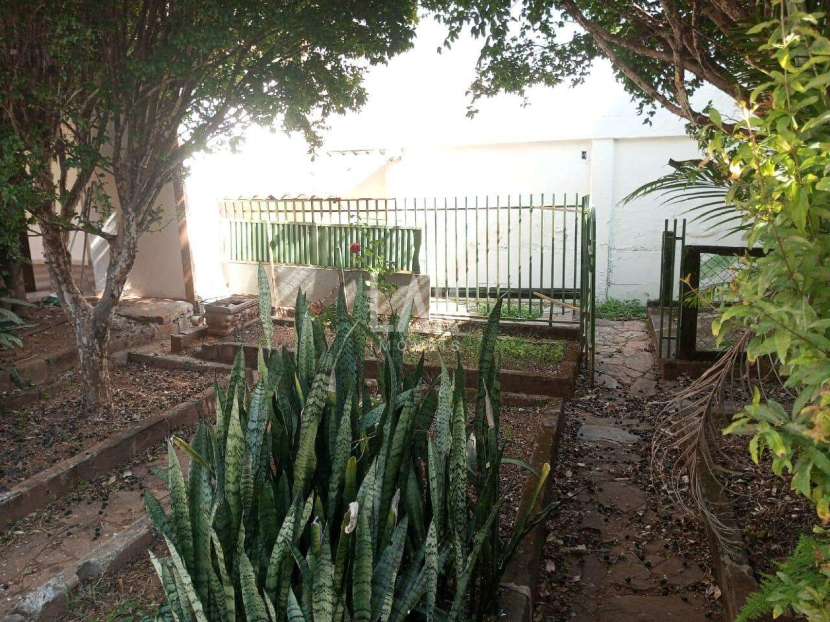 Casa de 4 quartos à venda, Betânia, Belo Horizonte - MG