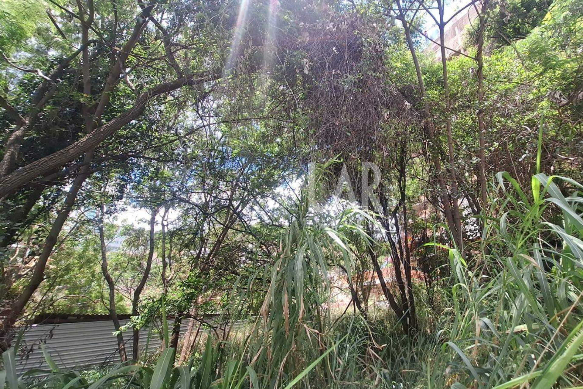 Lote - Terreno à venda, Santa Lúcia, Belo Horizonte - MG