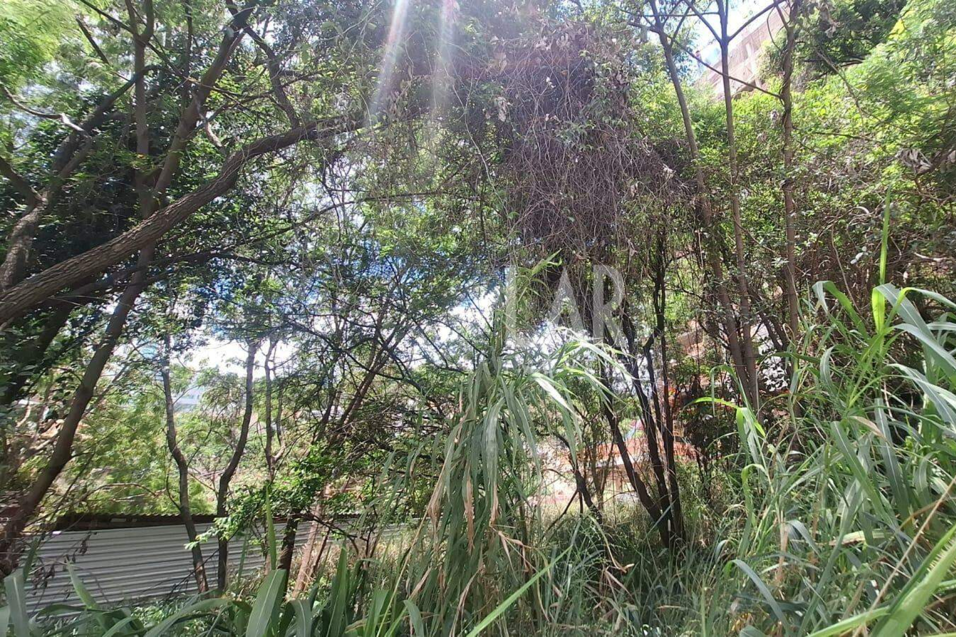 Lote - Terreno à venda, Santa Lúcia, Belo Horizonte - MG