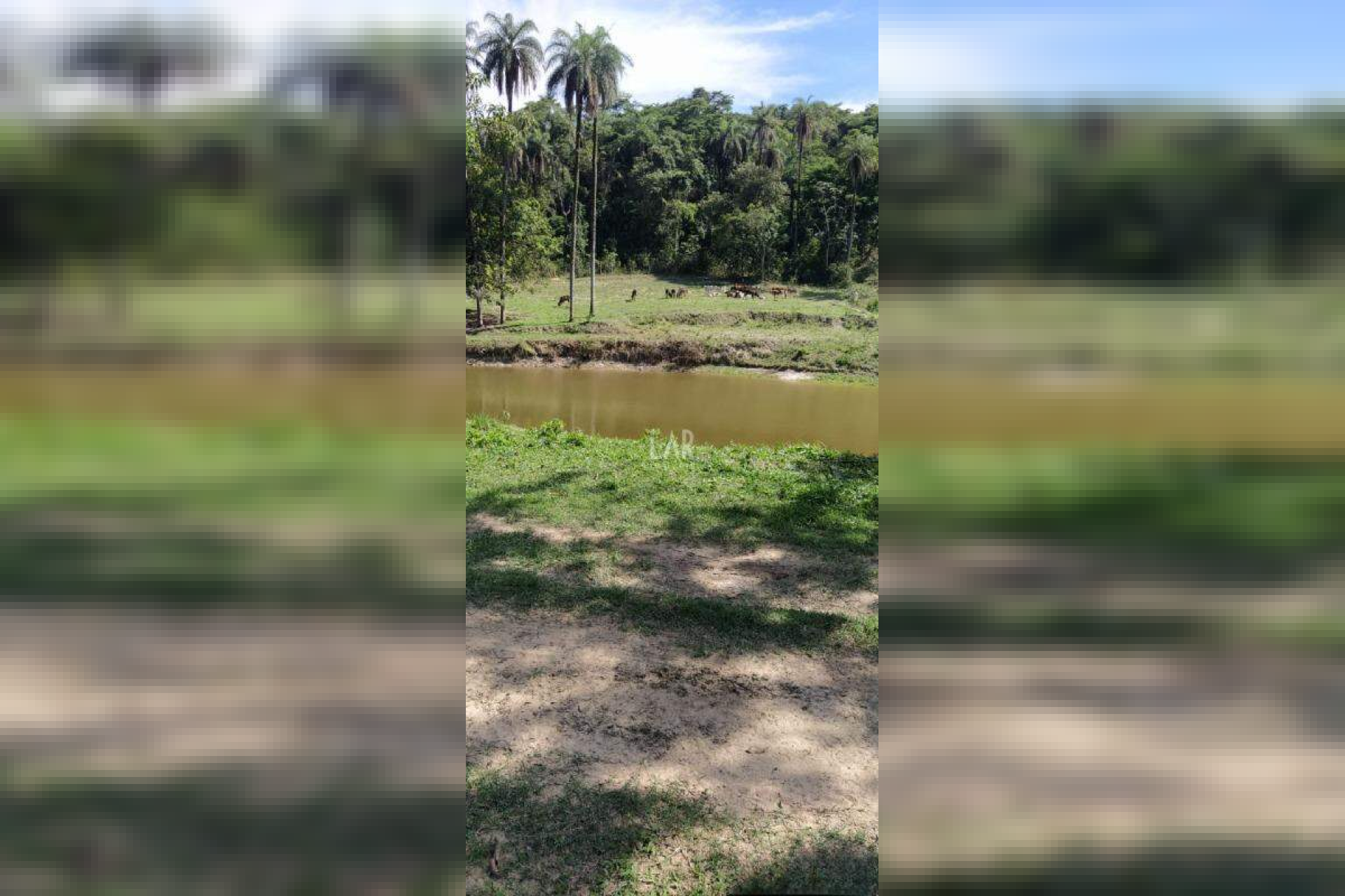 Fazenda - Sítio de 3 quartos à venda, Bandeirinhas, Betim - MG