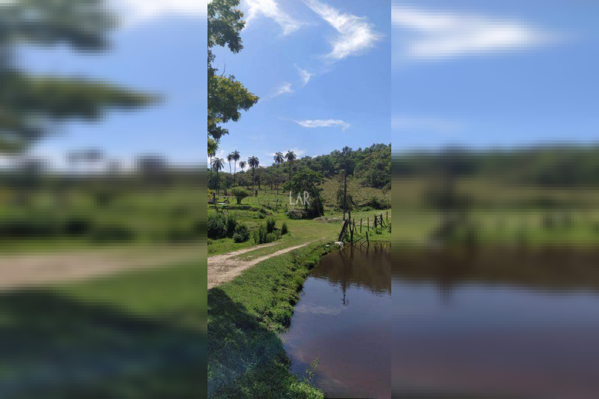 Fazenda - Sítio de 3 quartos à venda, Bandeirinhas, Betim - MG