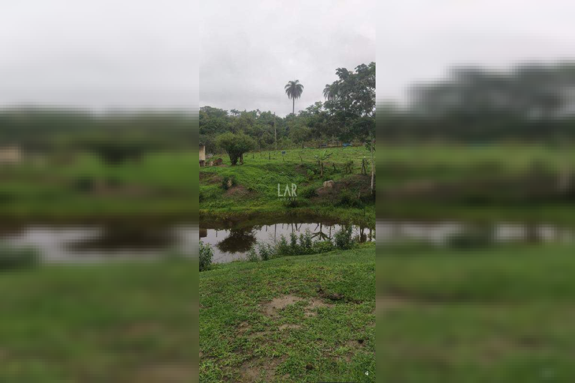 Fazenda - Sítio de 3 quartos à venda, Bandeirinhas, Betim - MG