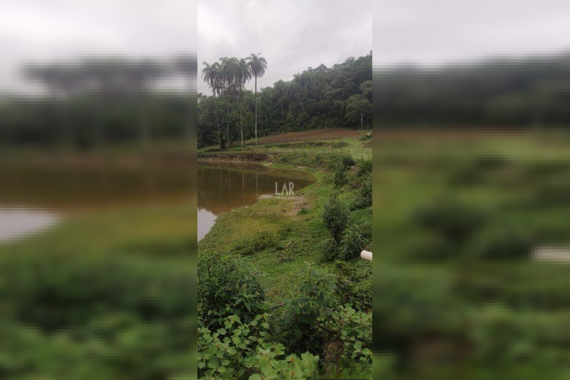 Fazenda - Sítio de 3 quartos à venda, Bandeirinhas, Betim - MG