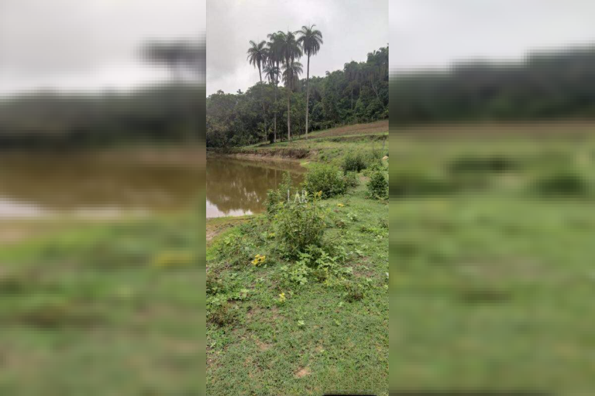 Fazenda - Sítio de 3 quartos à venda, Bandeirinhas, Betim - MG