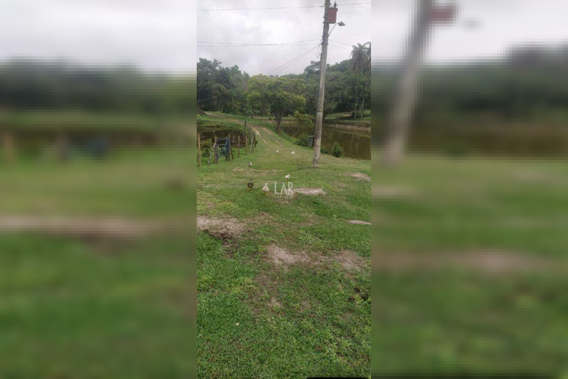 Fazenda - Sítio de 3 quartos à venda, Bandeirinhas, Betim - MG