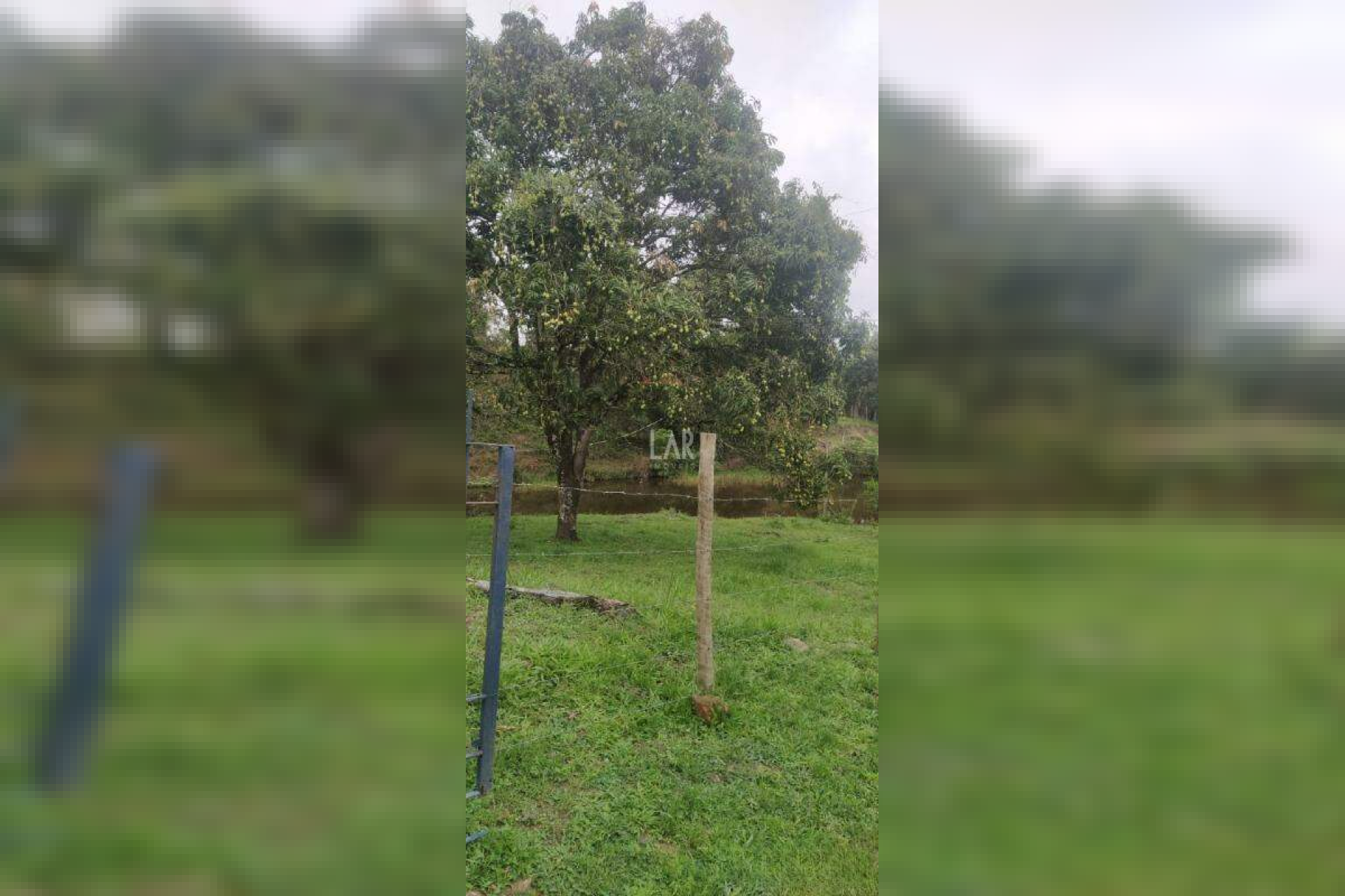 Fazenda - Sítio de 3 quartos à venda, Bandeirinhas, Betim - MG