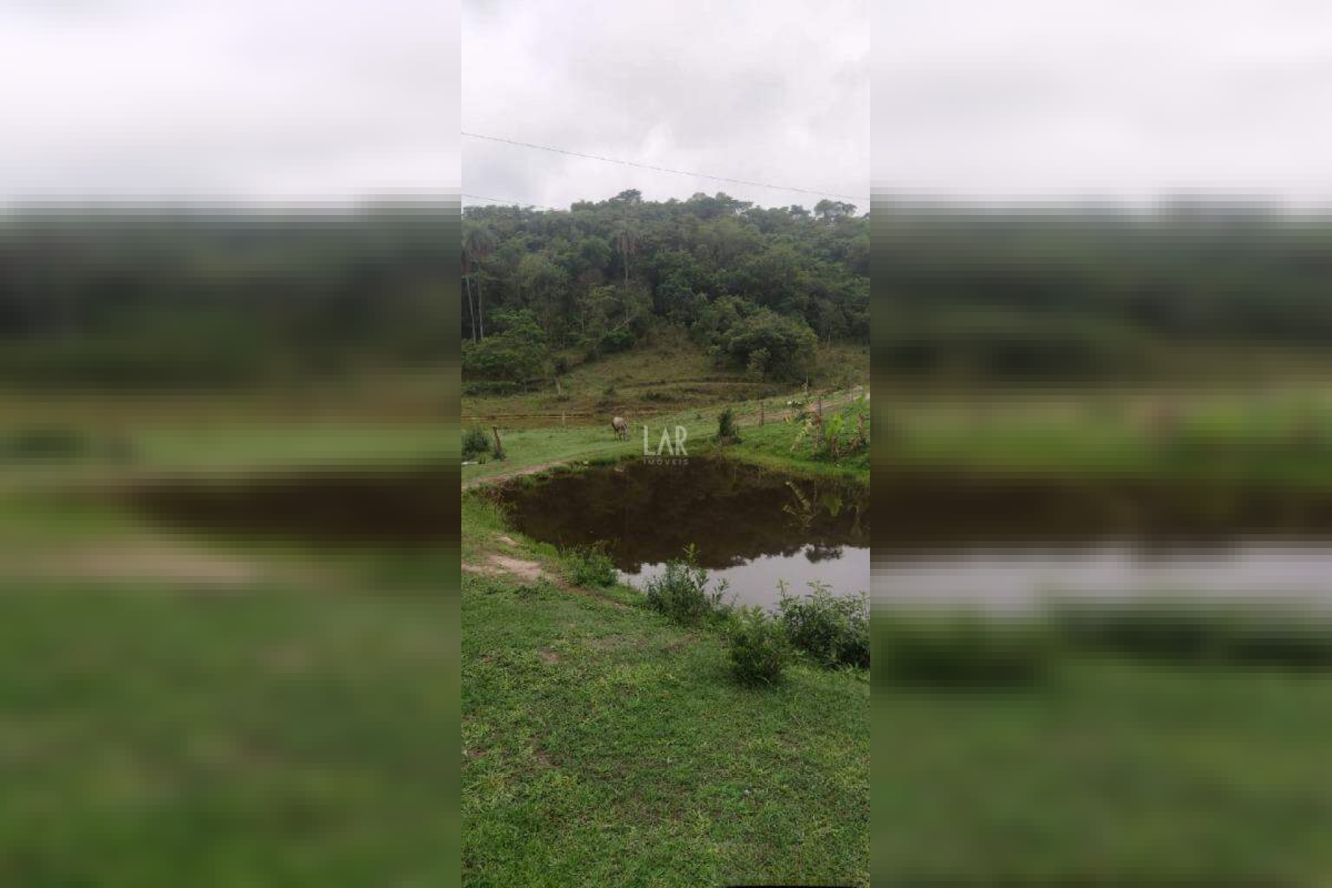 Fazenda - Sítio de 3 quartos à venda, Bandeirinhas, Betim - MG