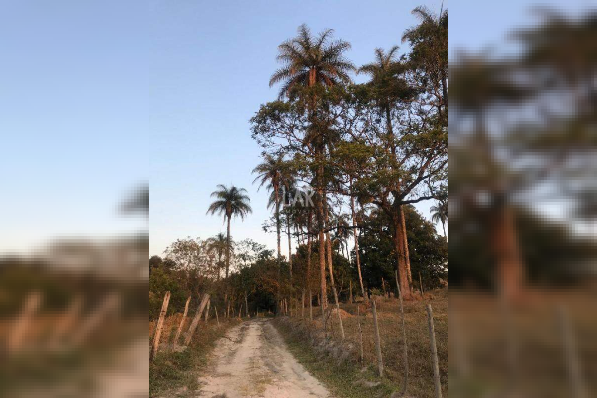 Fazenda - Sítio de 3 quartos à venda, Bandeirinhas, Betim - MG