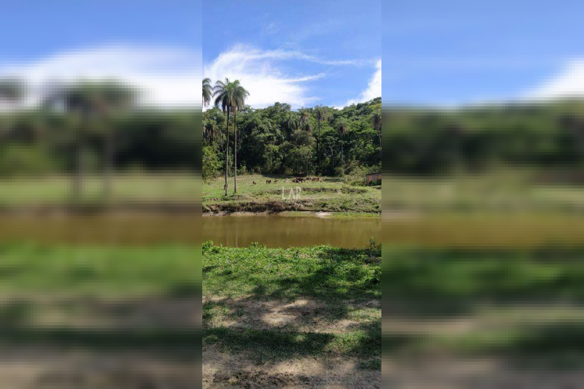 Fazenda - Sítio de 3 quartos à venda, Bandeirinhas, Betim - MG
