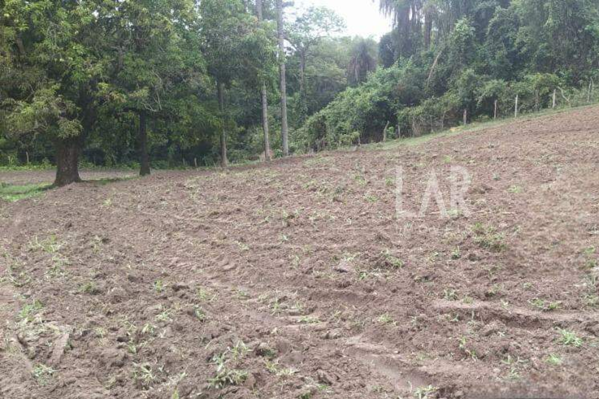Fazenda - Sítio de 3 quartos à venda, Bandeirinhas, Betim - MG