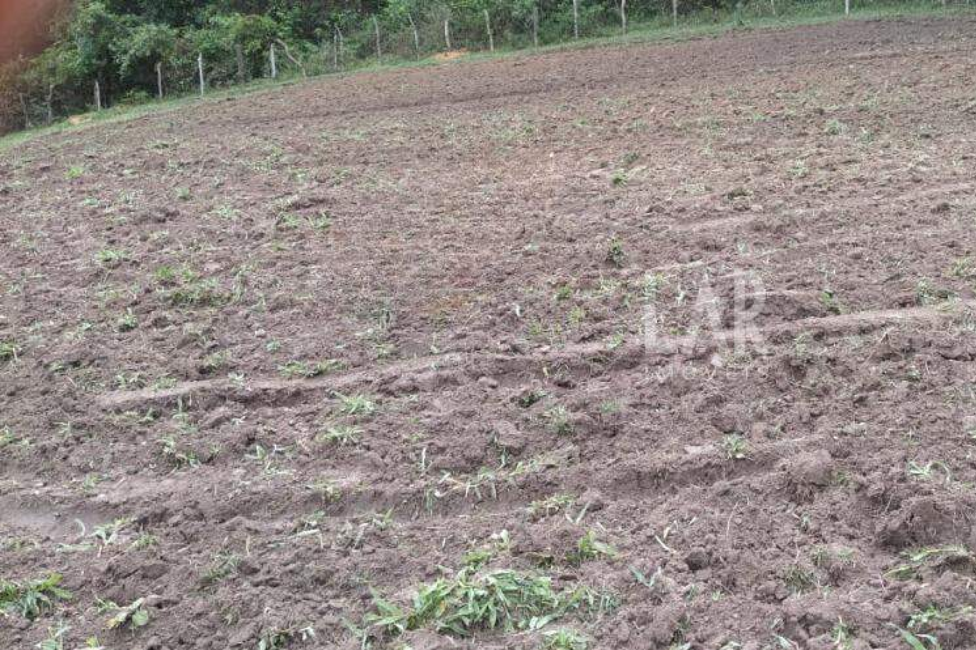 Fazenda - Sítio de 3 quartos à venda, Bandeirinhas, Betim - MG