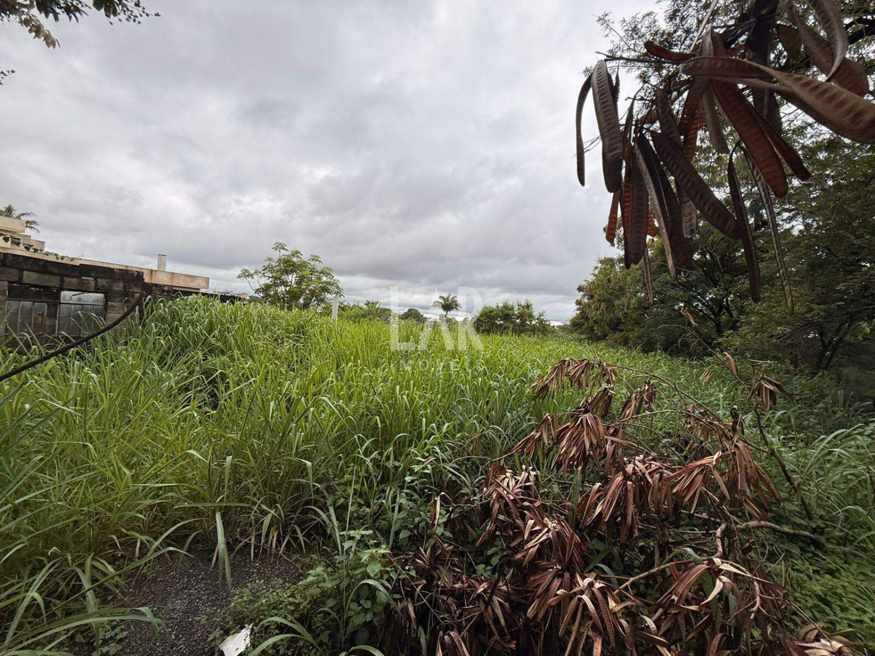 Lote - Terreno à venda, Garças, Belo Horizonte - MG