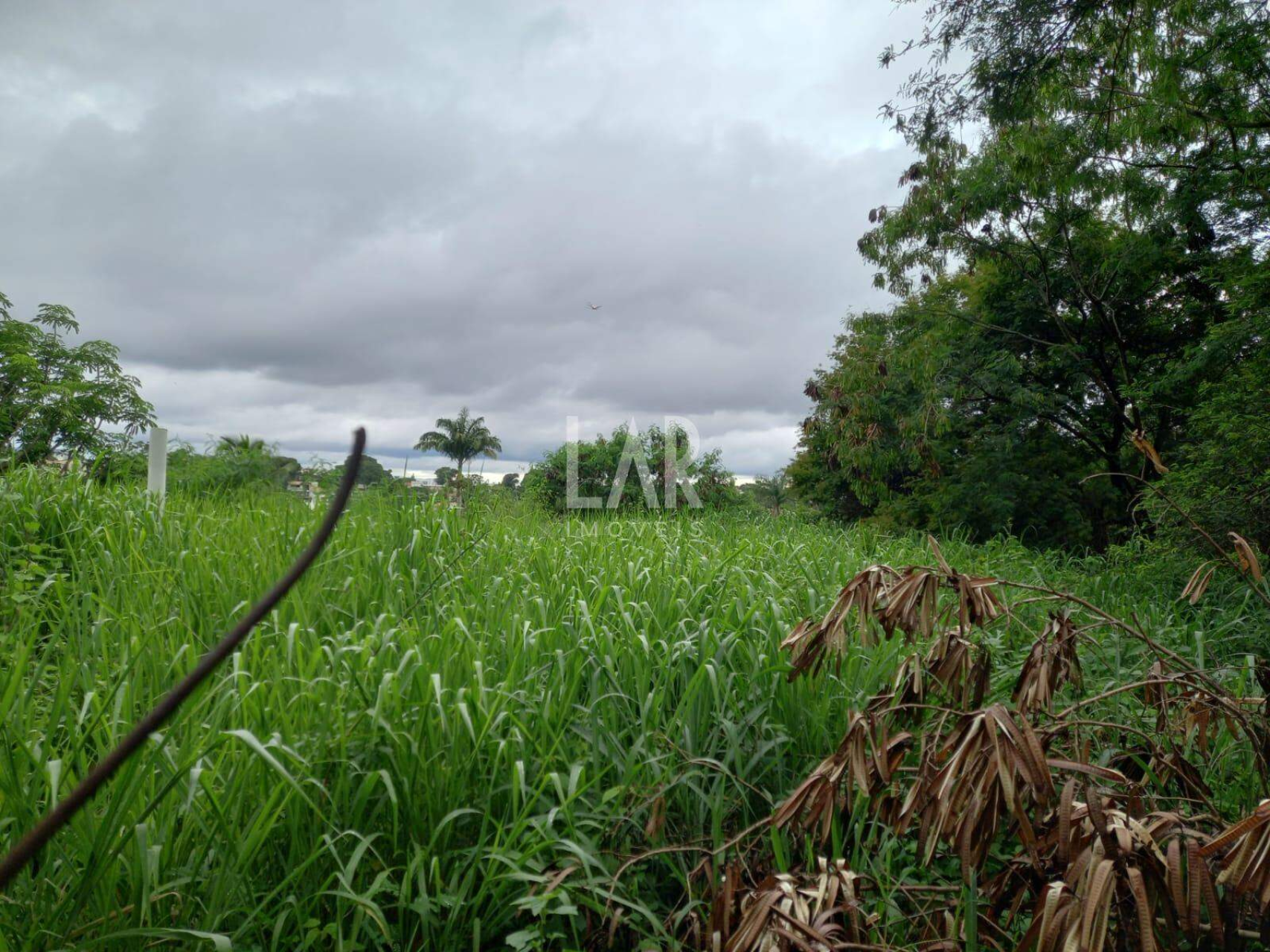 Lote - Terreno à venda, Garças, Belo Horizonte - MG