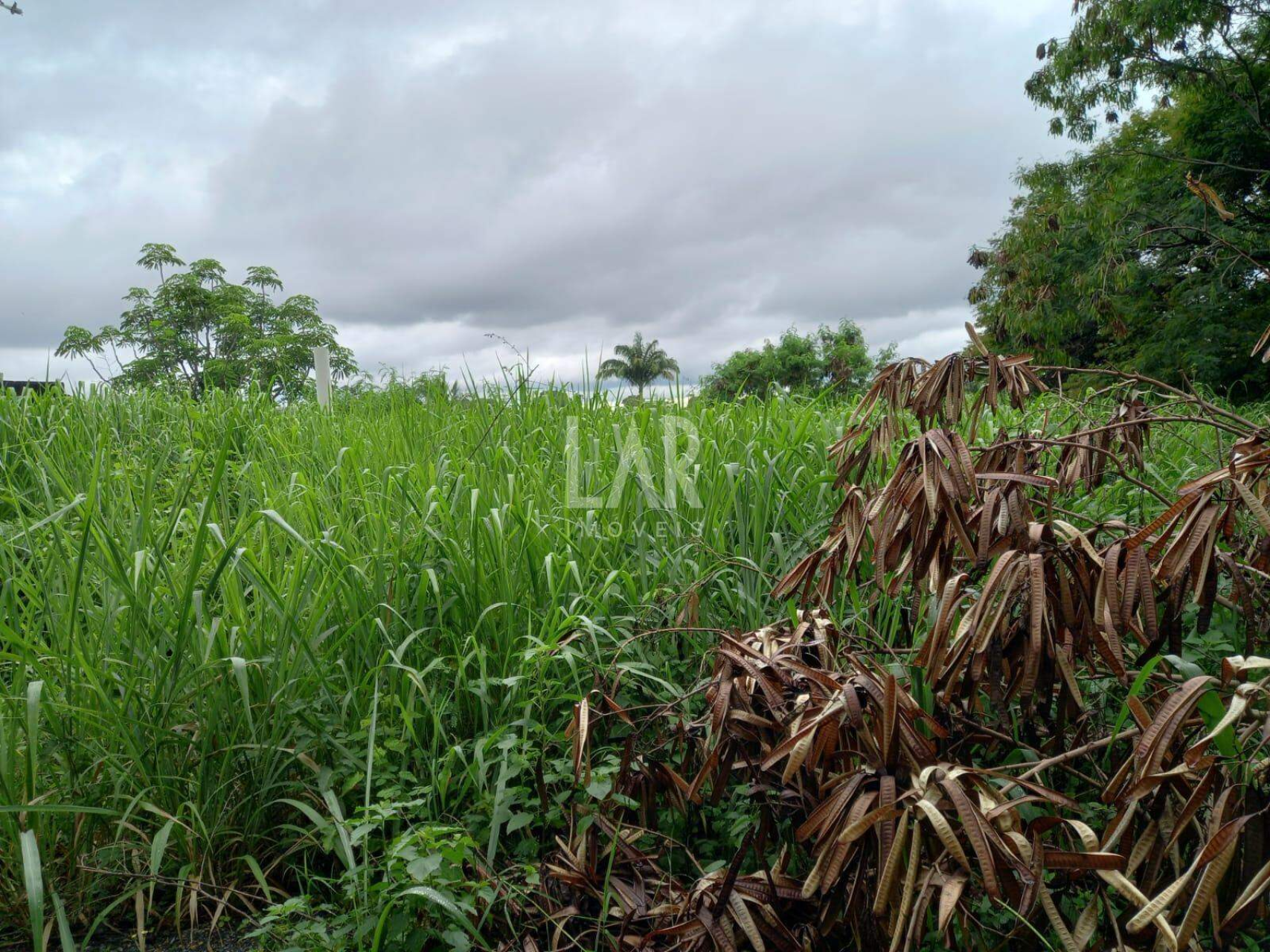 Lote - Terreno à venda, Garças, Belo Horizonte - MG