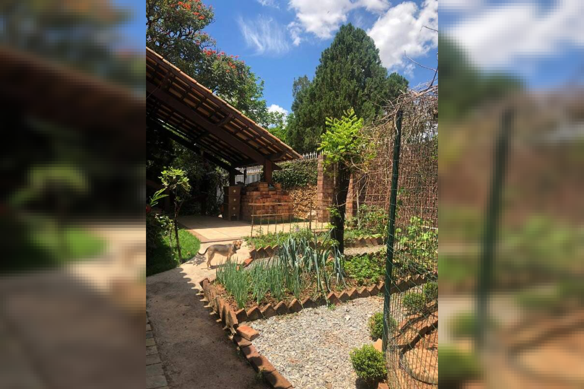 Casa de 5 quartos à venda, São Luiz, Belo Horizonte - MG