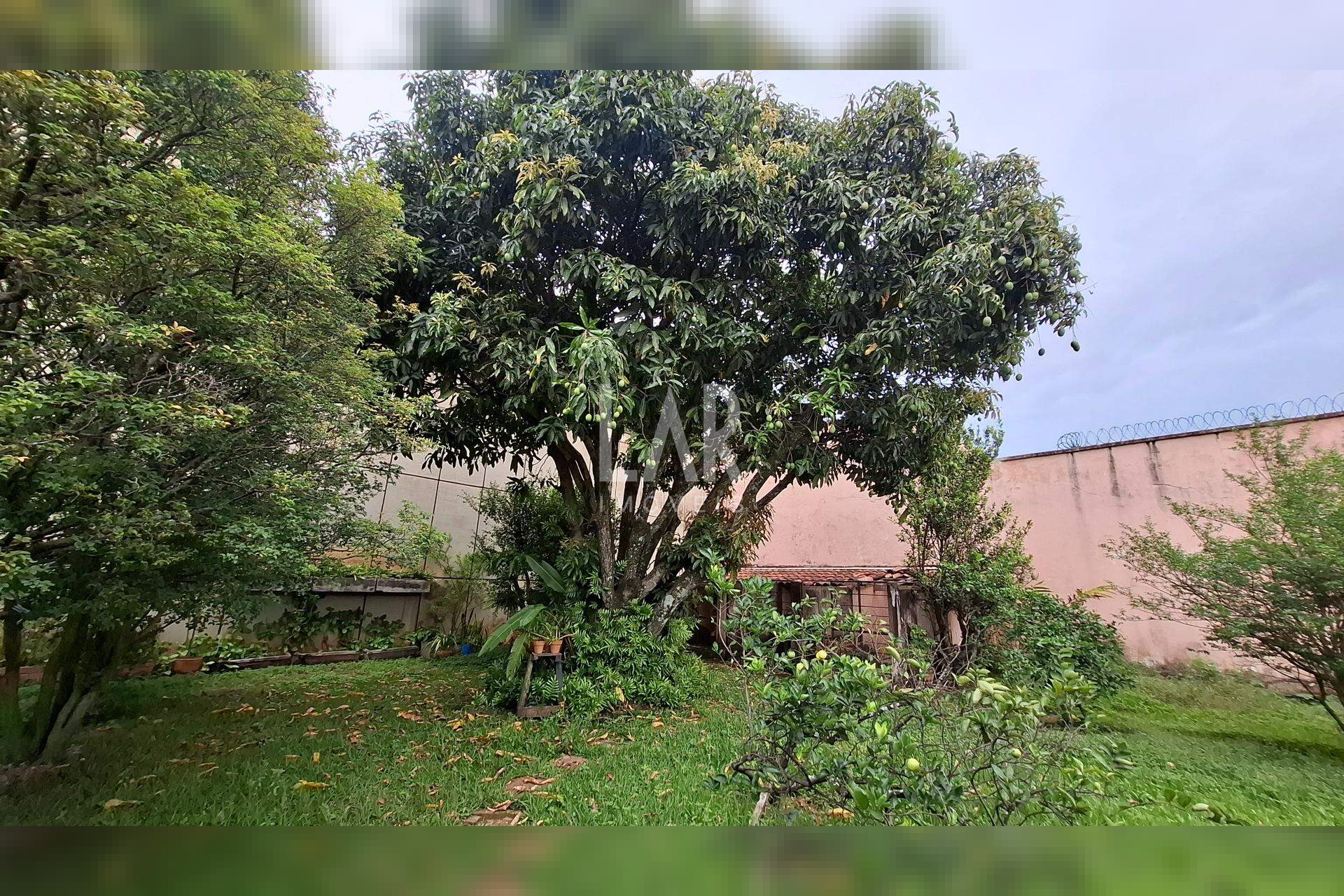Casa de 4 quartos para alugar, Mangabeiras, Belo Horizonte - MG