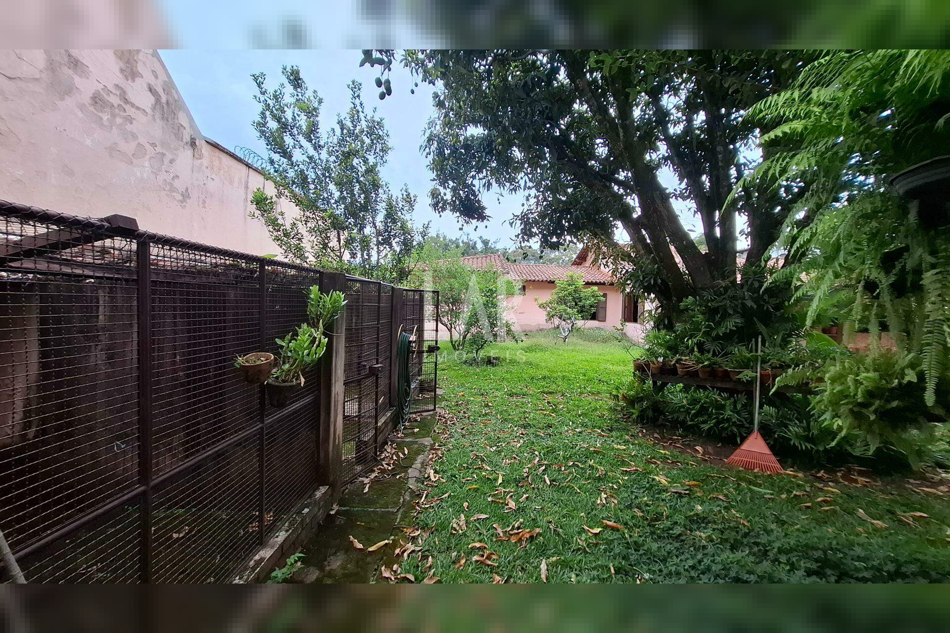Casa de 4 quartos para alugar, Mangabeiras, Belo Horizonte - MG