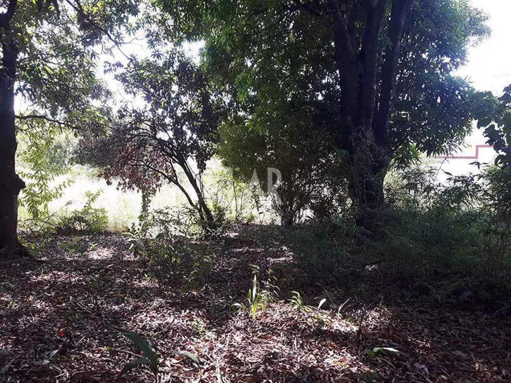 Lote - Terreno à venda, Bandeirantes, Belo Horizonte - MG