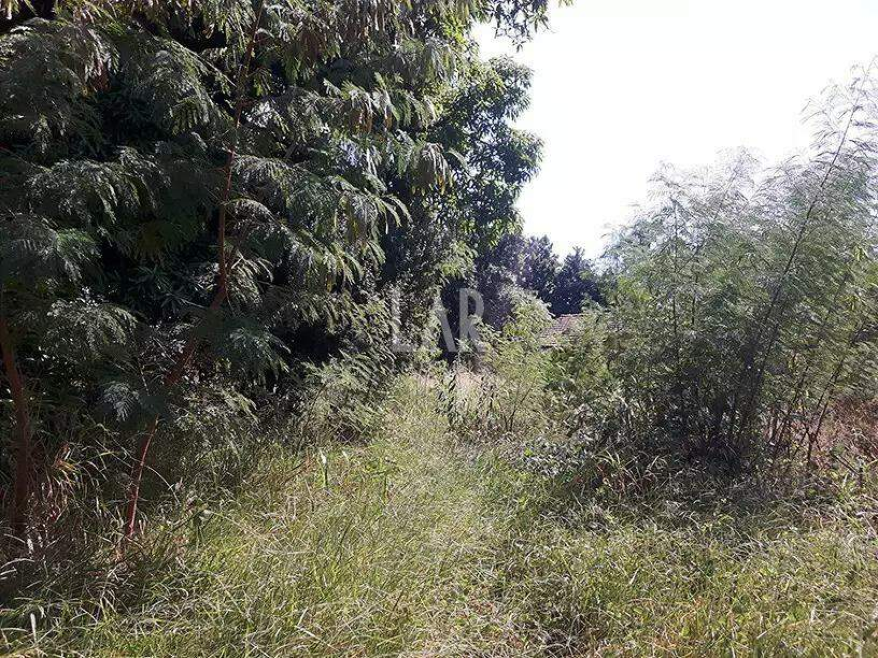 Lote - Terreno à venda, Bandeirantes, Belo Horizonte - MG