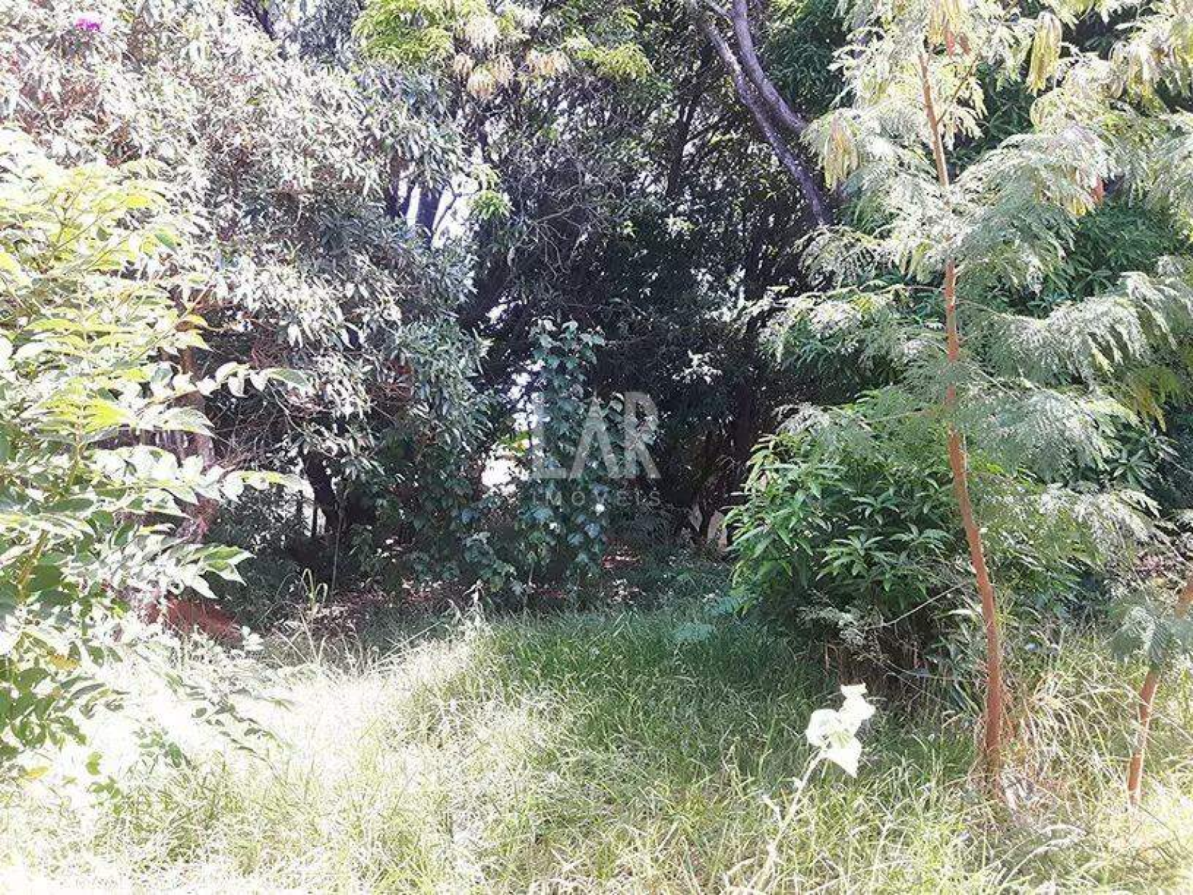 Lote - Terreno à venda, Bandeirantes, Belo Horizonte - MG