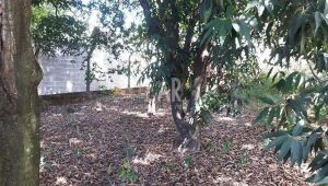 Lote - Terreno à venda, Bandeirantes (Pampulha), Belo Horizonte - MG