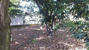 Lote - Terreno à venda, Bandeirantes, Belo Horizonte - MG