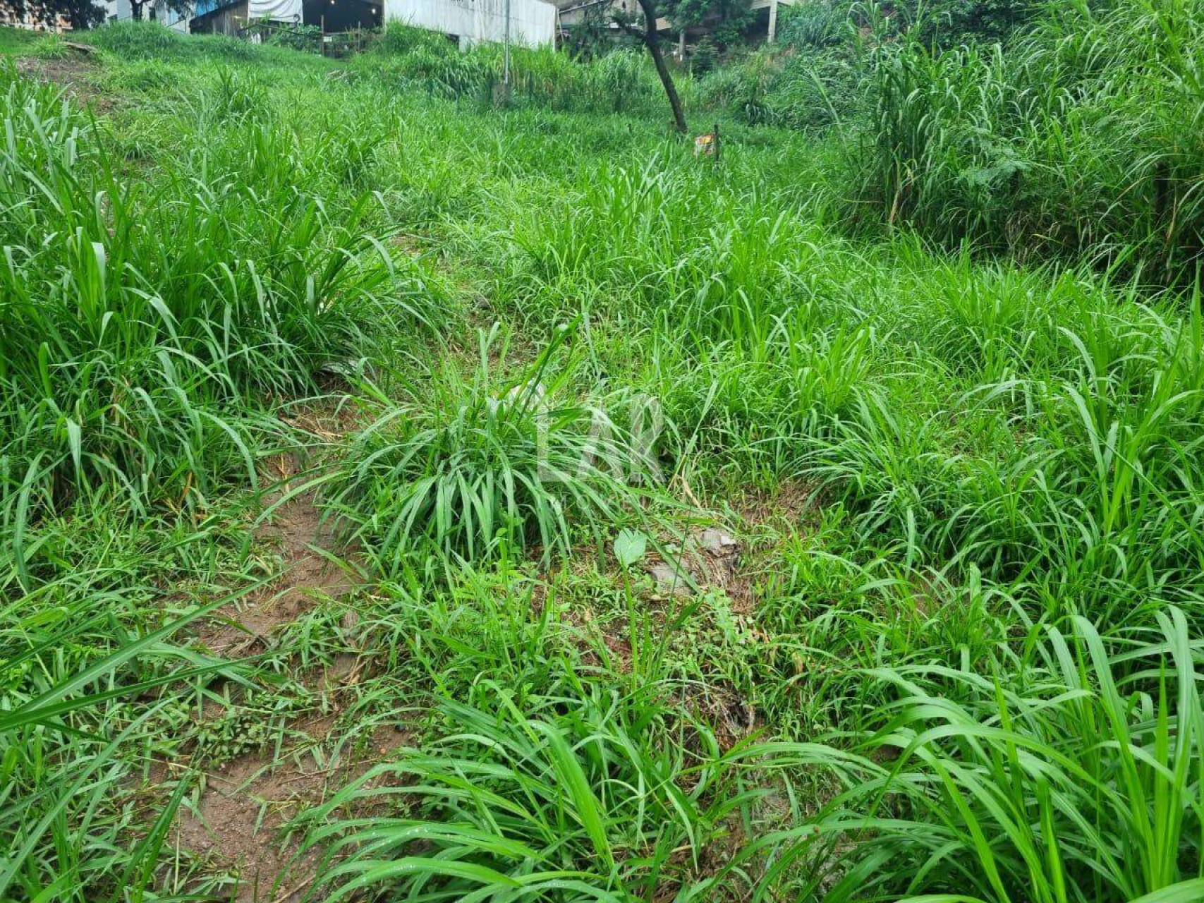 Lote - Terreno à venda, Santa Lúcia, Belo Horizonte - MG