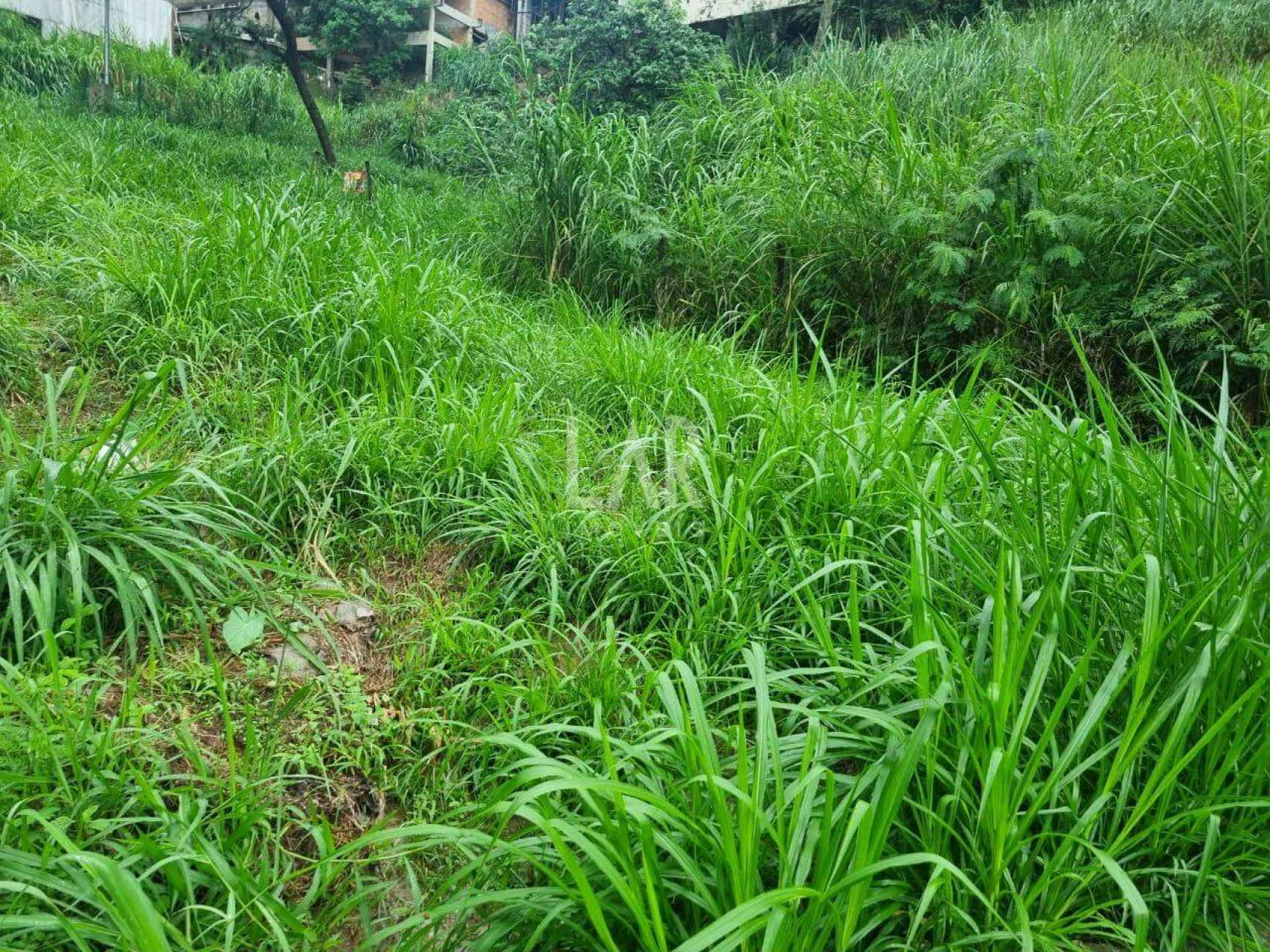 Lote - Terreno à venda, Santa Lúcia, Belo Horizonte - MG