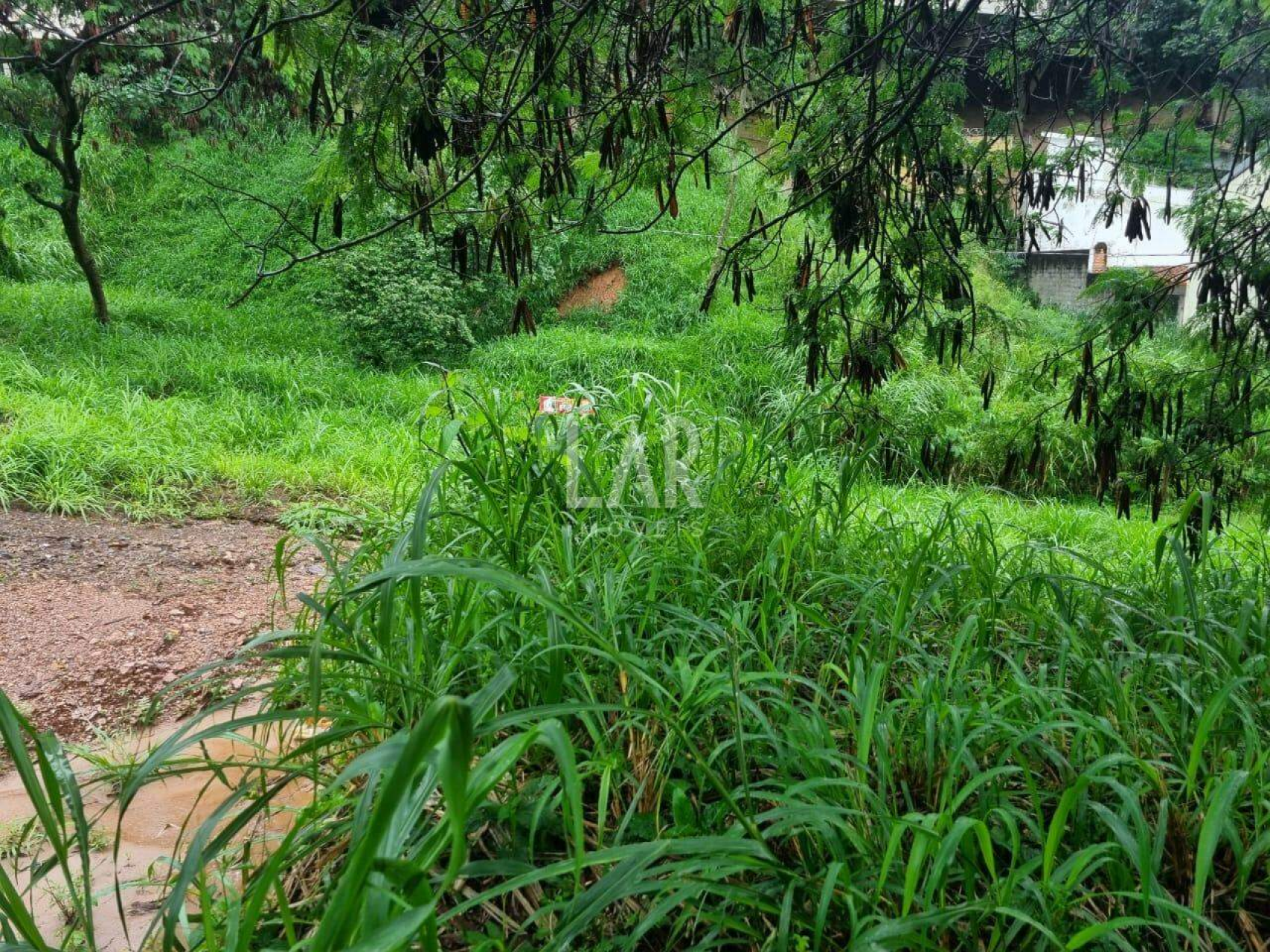 Lote - Terreno à venda, Santa Lúcia, Belo Horizonte - MG