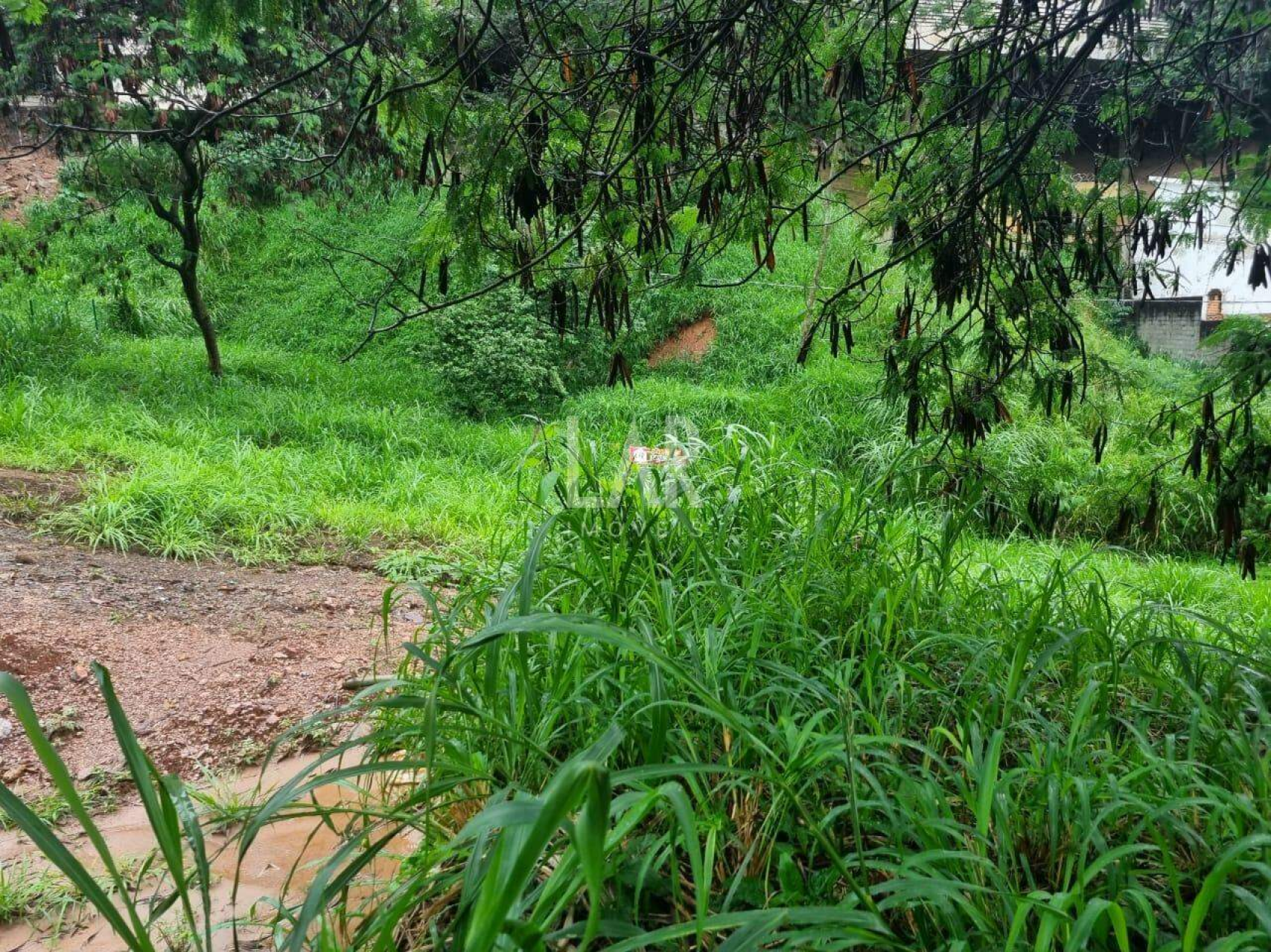 Lote - Terreno à venda, Santa Lúcia, Belo Horizonte - MG