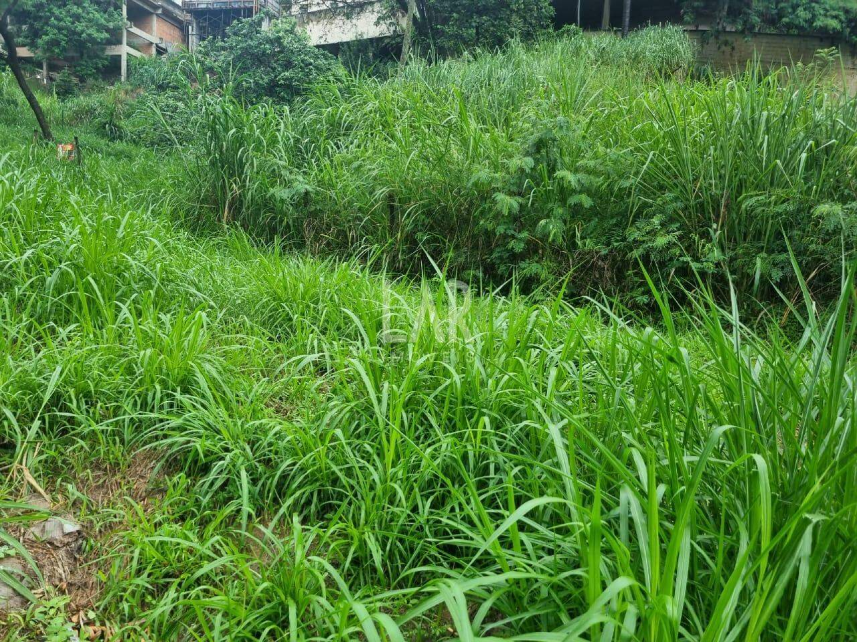Lote - Terreno à venda, Santa Lúcia, Belo Horizonte - MG