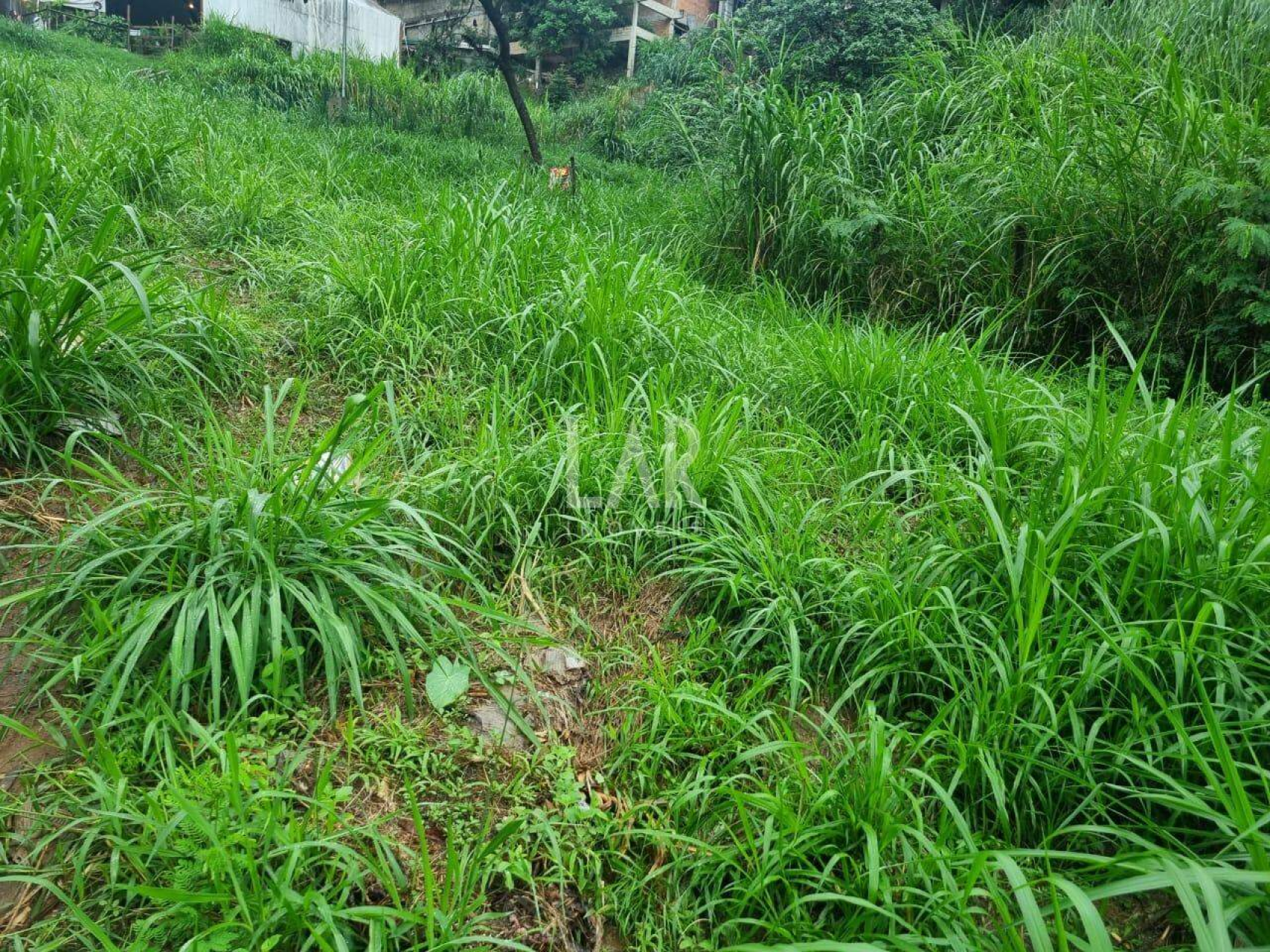 Lote - Terreno à venda, Santa Lúcia, Belo Horizonte - MG