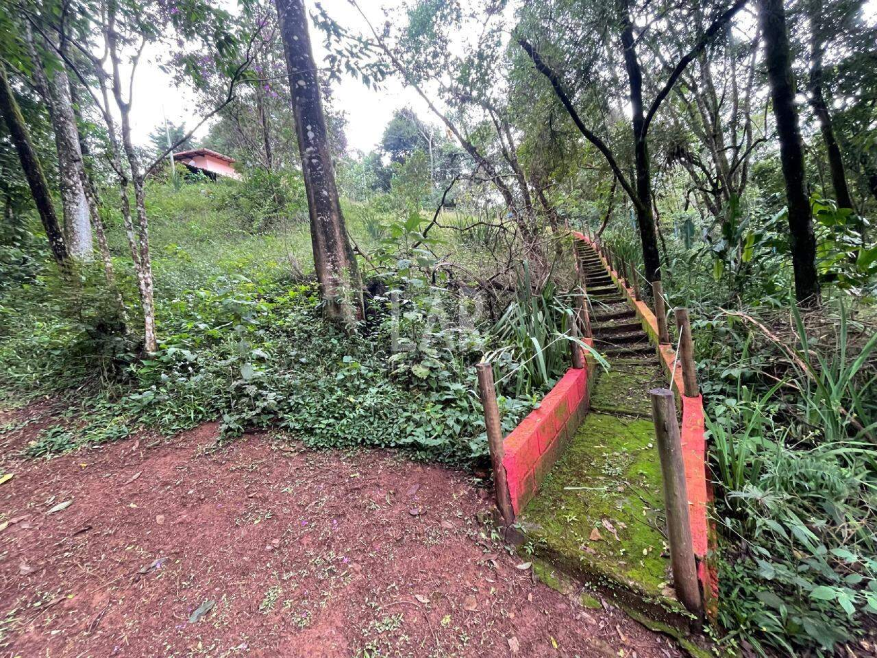 Casa em Condomínio de 5 quartos à venda, Jardins de Petrópolis, Nova Lima - MG