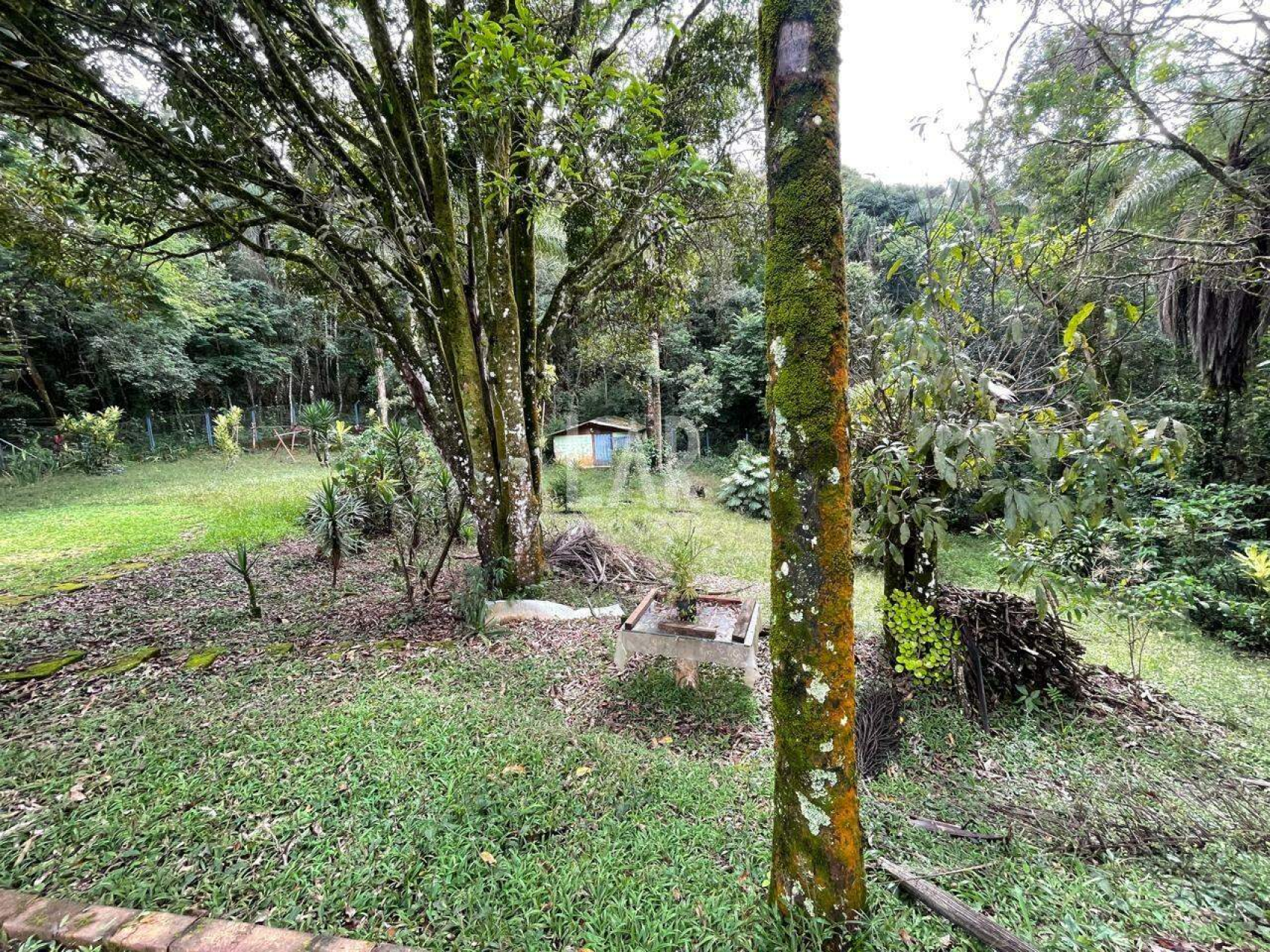 Casa em Condomínio de 5 quartos à venda, Jardins de Petrópolis, Nova Lima - MG