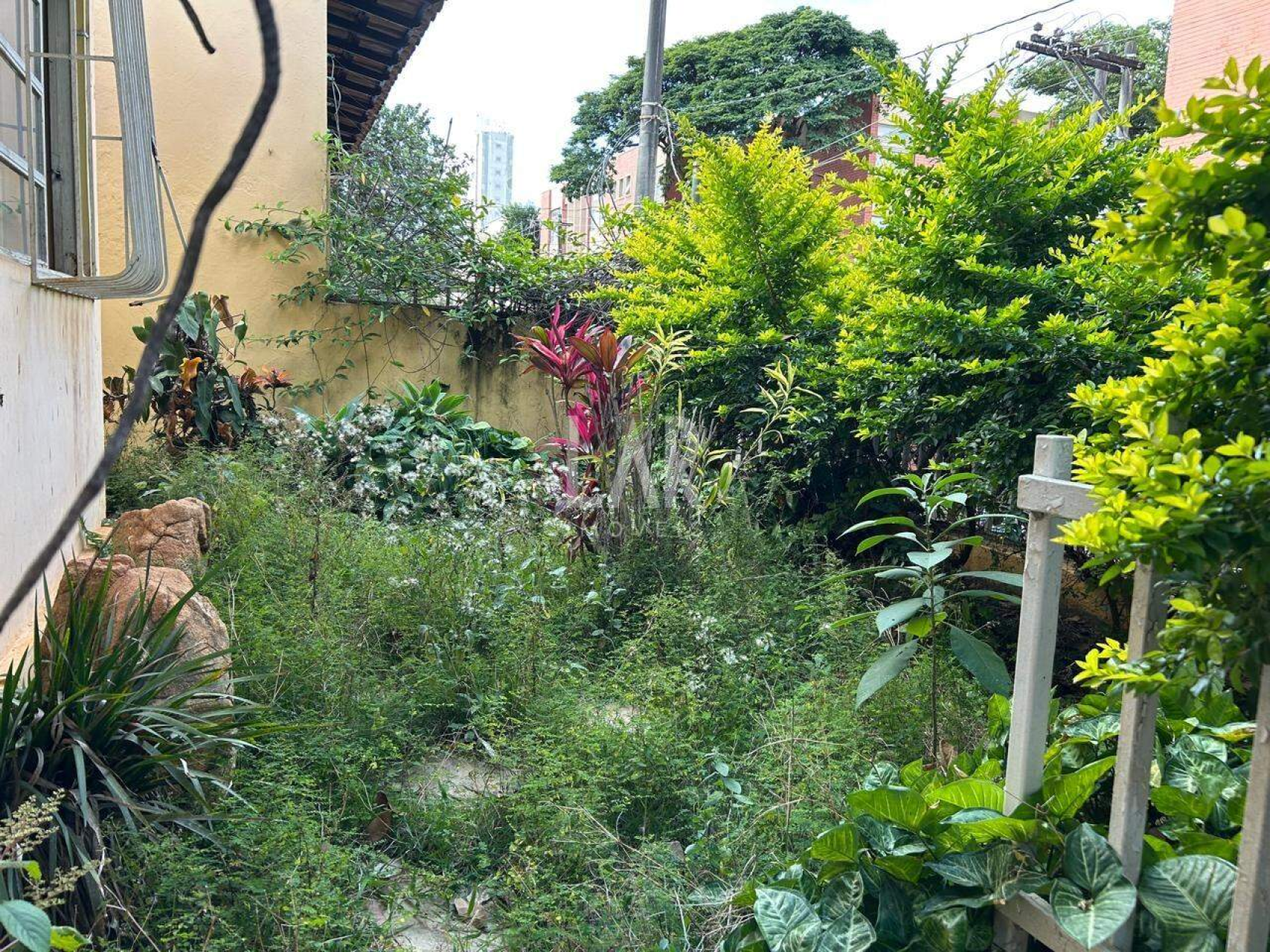 Casa de 4 quartos à venda, Sion, Belo Horizonte - MG