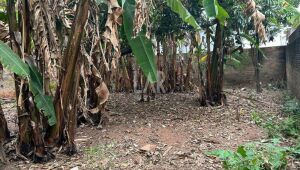Lote - Terreno à venda, Floramar, Belo Horizonte - MG