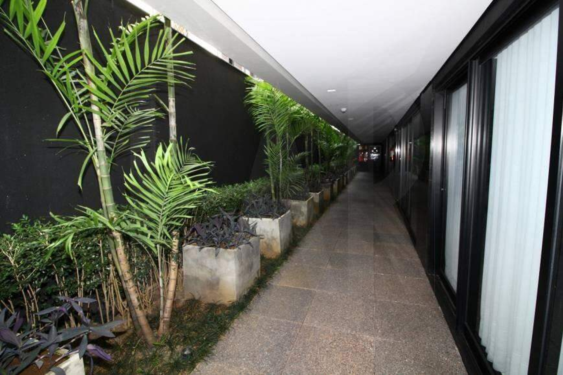 Apartamento de 1 quarto para alugar, Boa Viagem, Belo Horizonte - MG
