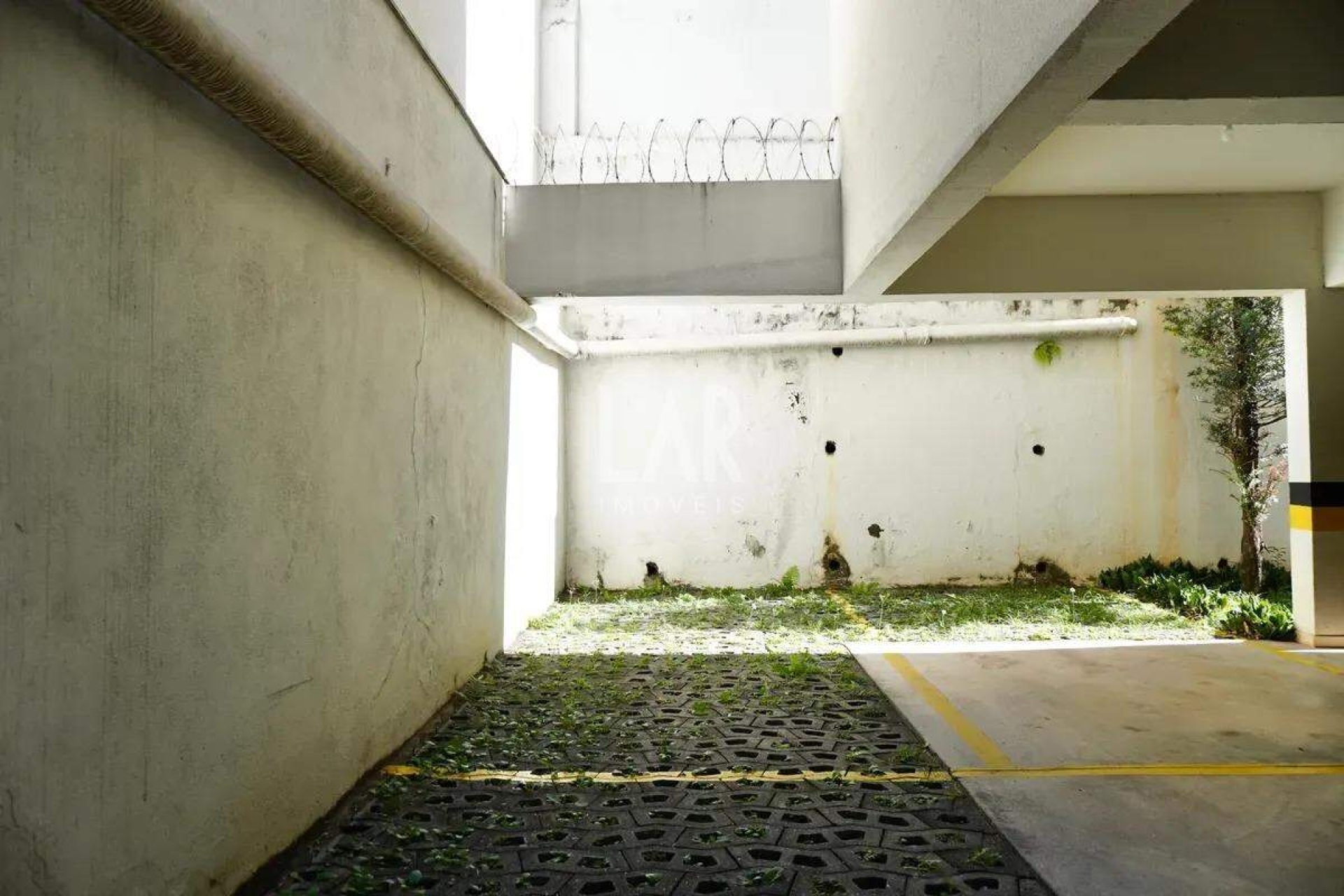 Apartamento de 3 quartos à venda, Sagrada Família, Belo Horizonte - MG