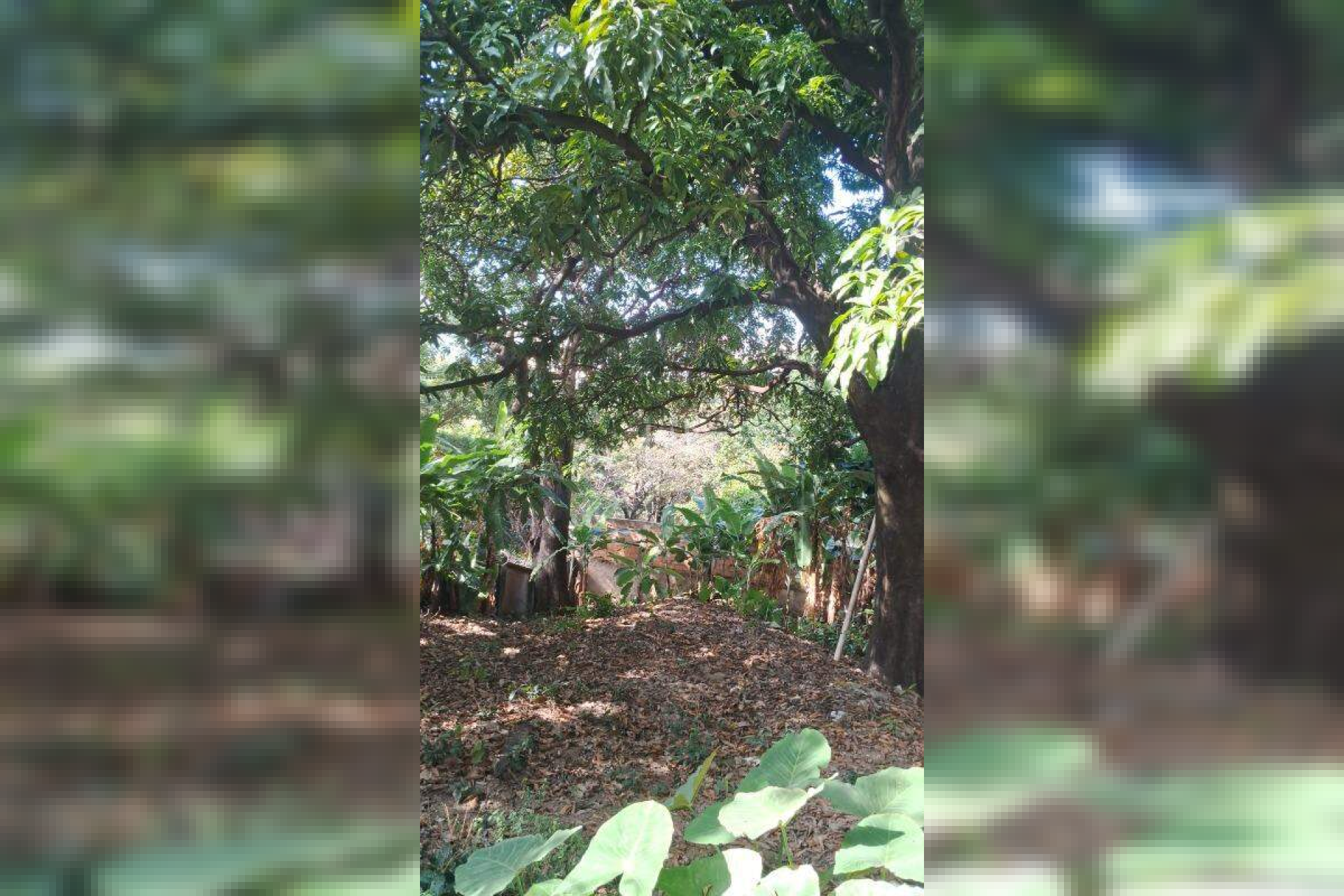 Lote - Terreno à venda, Carlos Prates, Belo Horizonte - MG