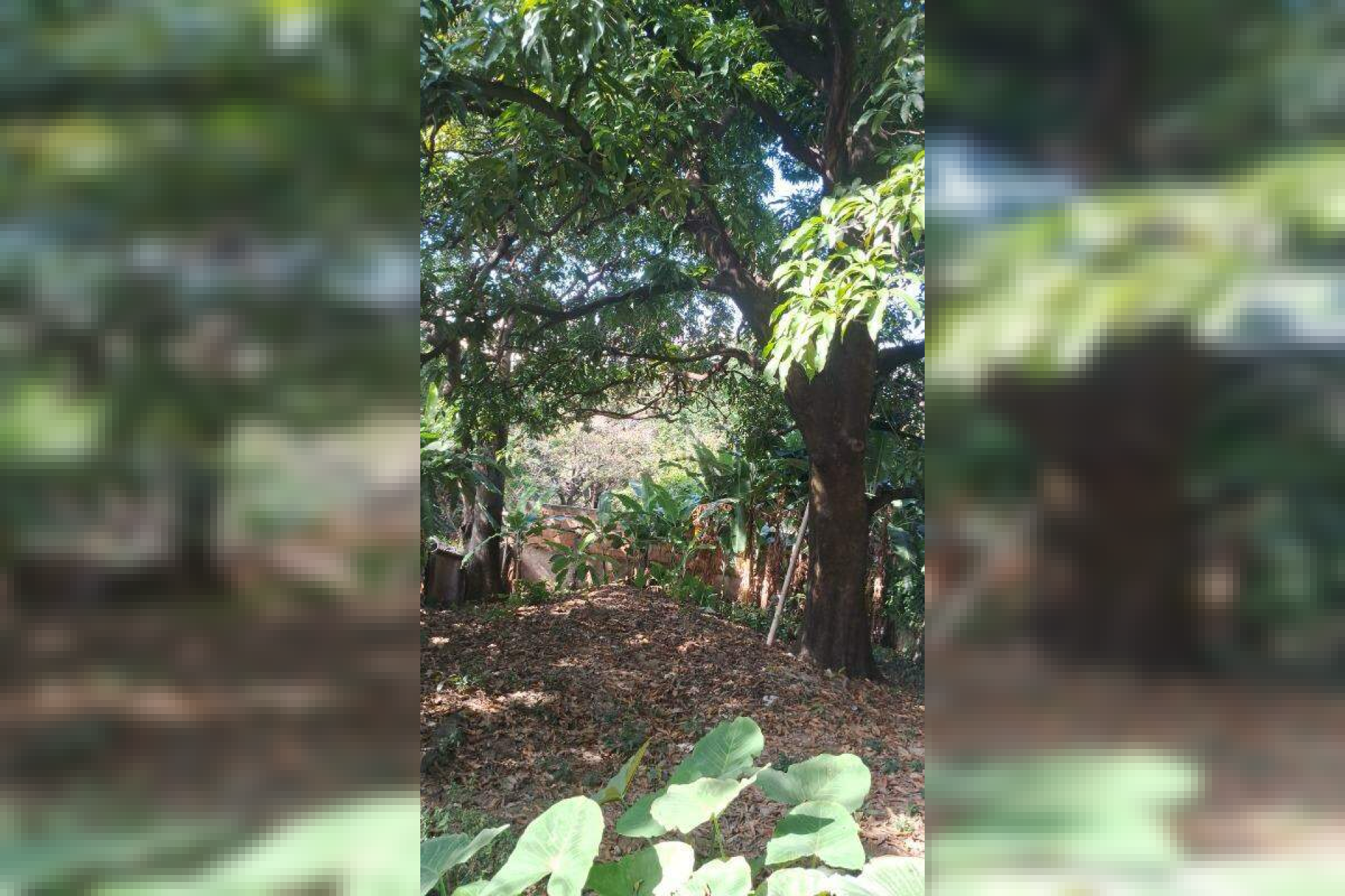 Lote - Terreno à venda, Carlos Prates, Belo Horizonte - MG