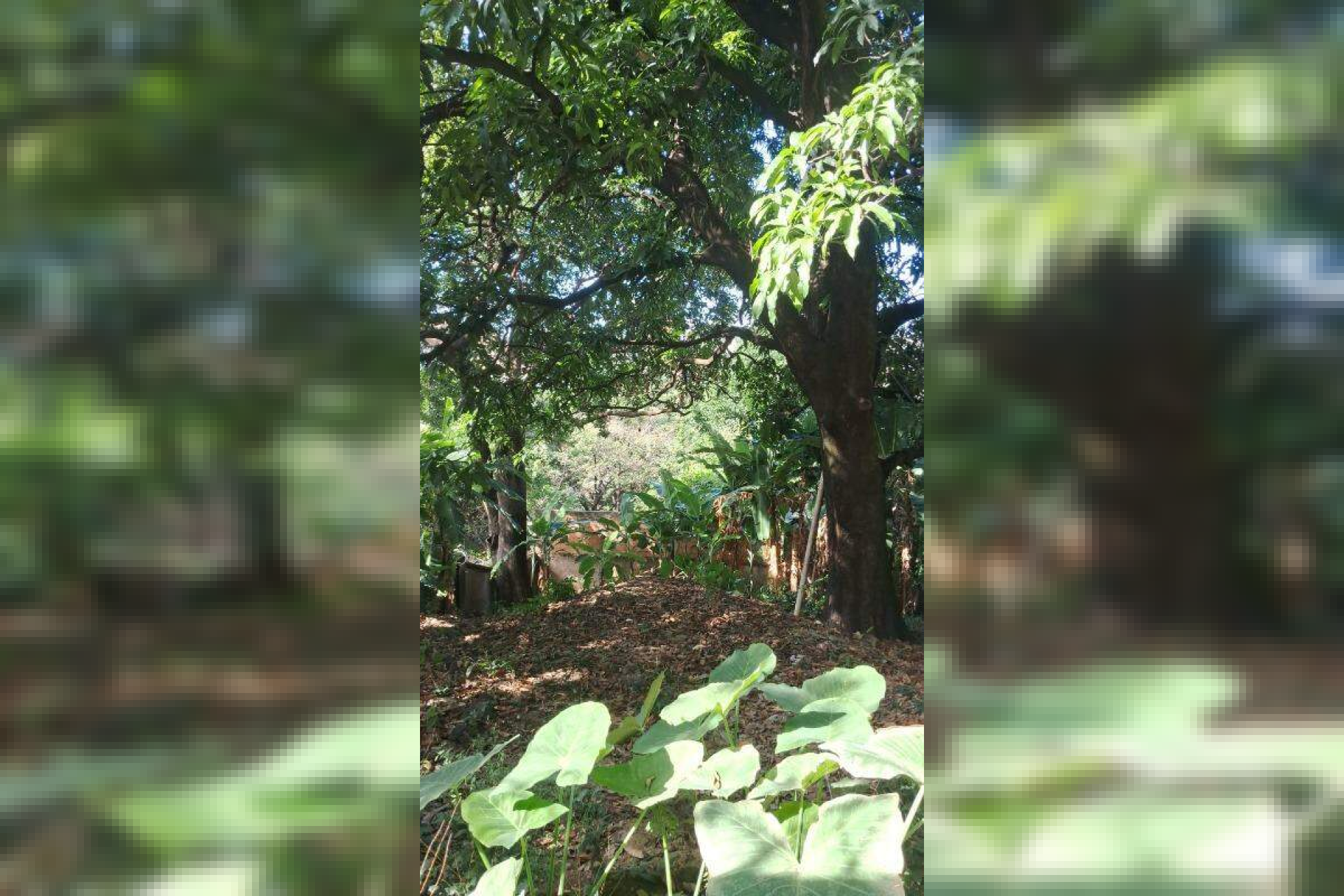 Lote - Terreno à venda, Carlos Prates, Belo Horizonte - MG
