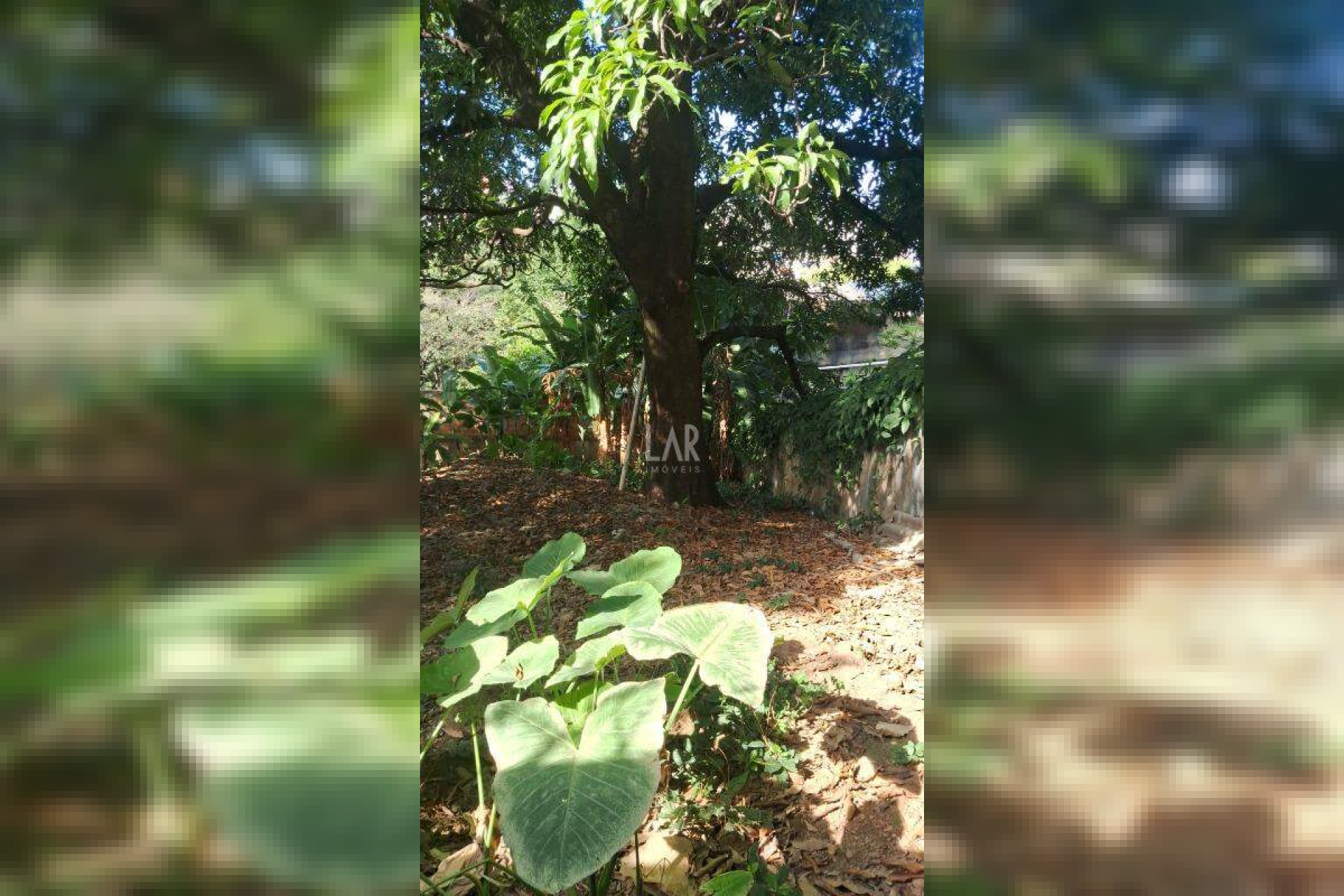 Lote - Terreno à venda, Carlos Prates, Belo Horizonte - MG