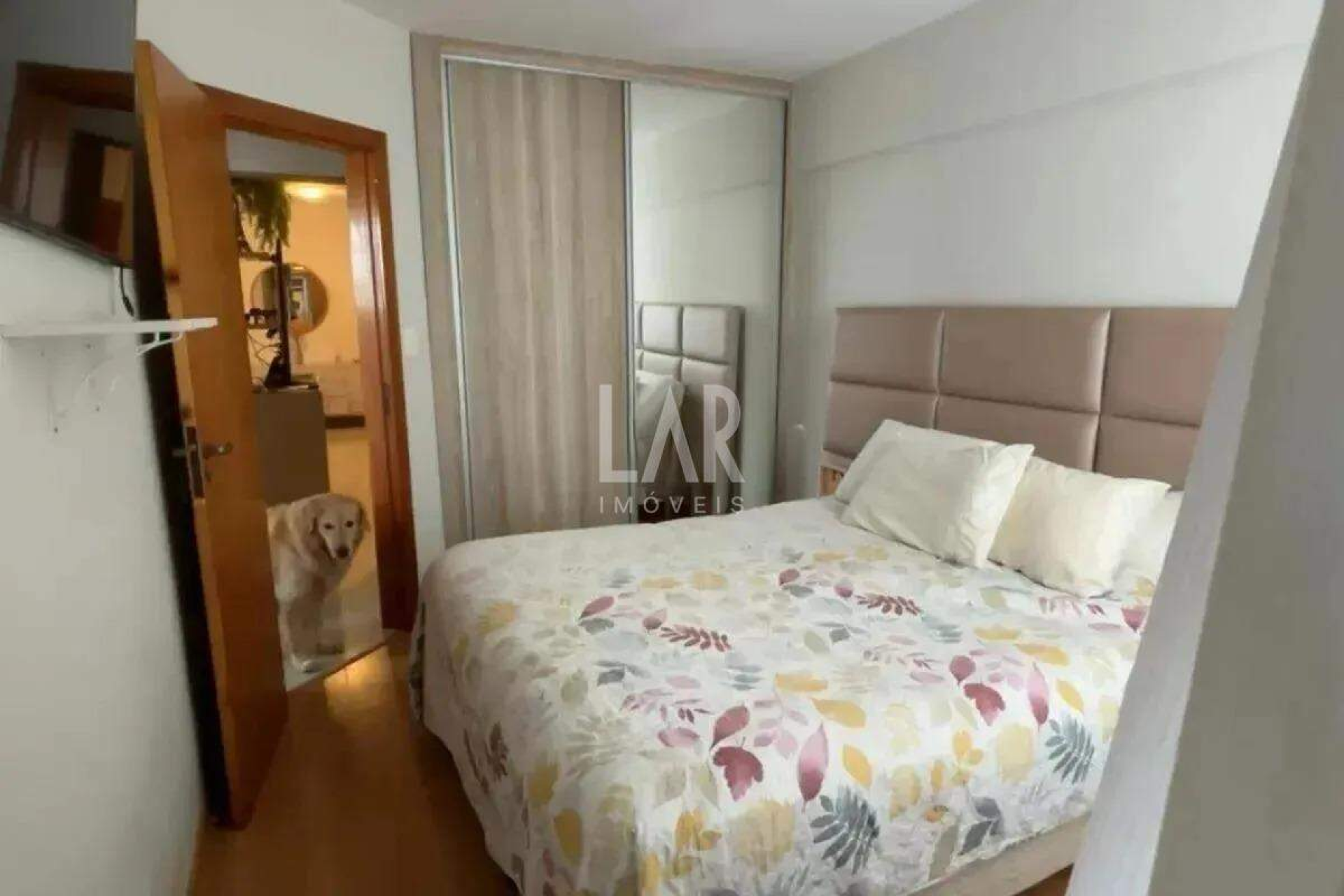 Apartamento de 3 quartos à venda, Santo Antônio, Belo Horizonte - MG