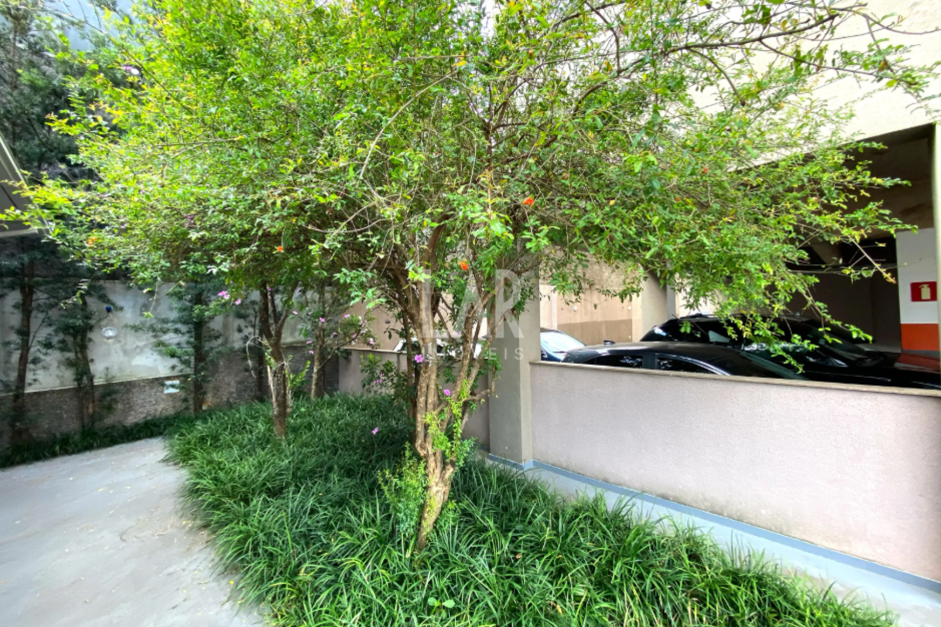 Apartamento de 3 quartos à venda, Colégio Batista, Belo Horizonte - MG