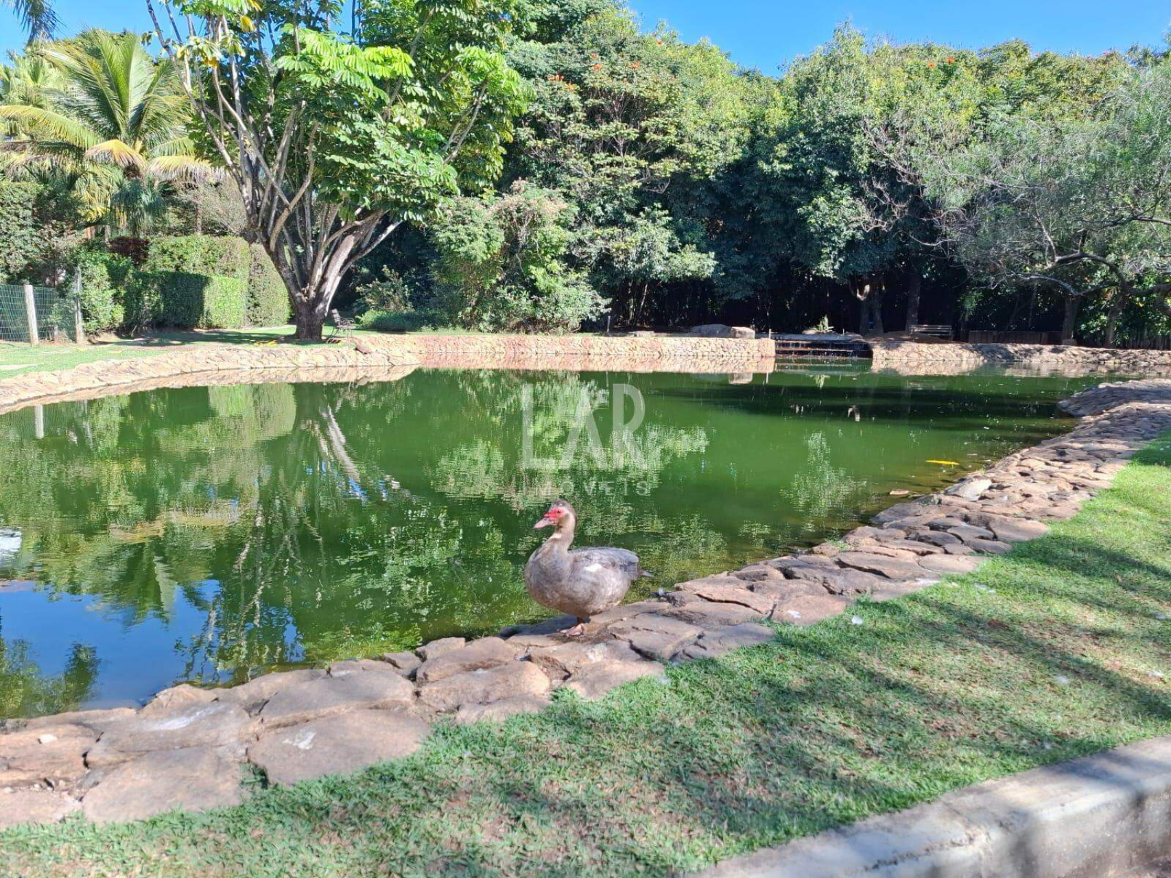 Casa em Condomínio de 3 quartos à venda, Trevo, Belo Horizonte - MG