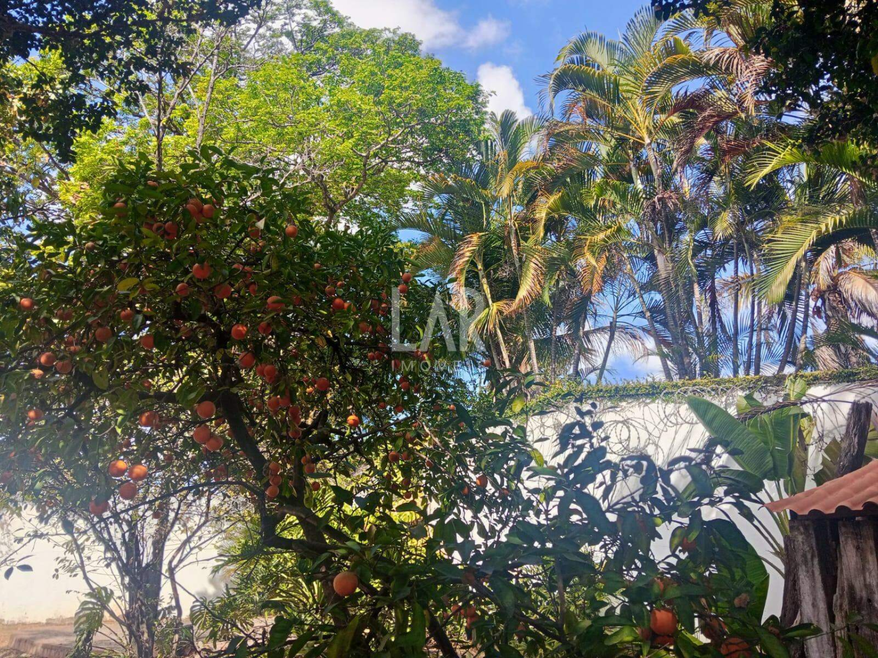 Casa de 4 quartos à venda, São Luiz, Belo Horizonte - MG