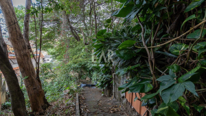 Lote - Terreno à venda, Sagrada Família, Belo Horizonte - MG