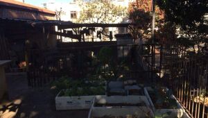 Lote - Terreno à venda, União, Belo Horizonte - MG
