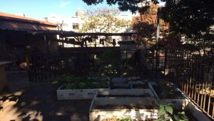 Lote - Terreno à venda, União, Belo Horizonte - MG